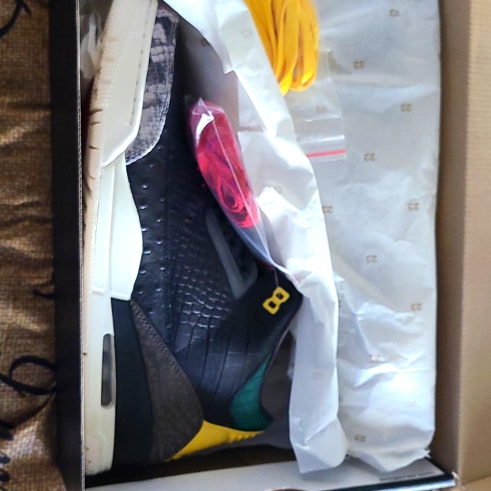 Jordan shoes 3 retro se